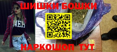 МДПВ Гатчина