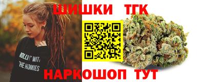 МДПВ Гатчина