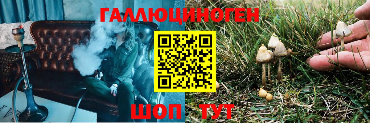 Псилоцибиновые грибы GOLDEN TEACHER Дагестанские Огни